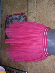 Pink Pleated Tulle Skirt
