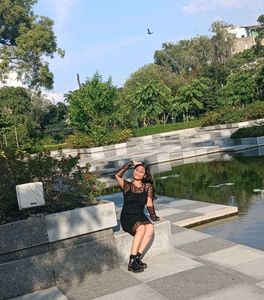 Black Plaid Sheer Mini Dress