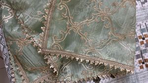 (new)Elegant Green Embellished Dupatta