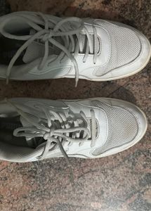 Puma Running Shoes original