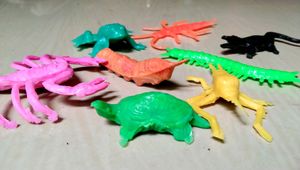 kids Things