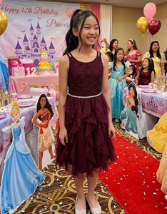 shimmery burgundy ruffle party dress for girls