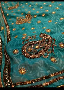 Paisley sea green zari work Saree