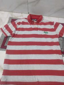 Striped Polo T-Shirt