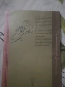 class 11 english books snapshot+hornbill