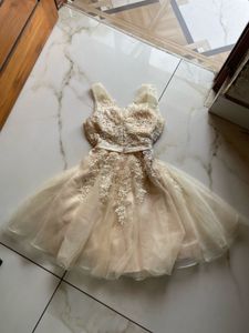 vintage Lace tulle dress