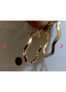 Small Hoop New Earrings