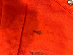 Lehngha Choli 🧡💙