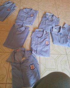 7 Half sleeve Shirts