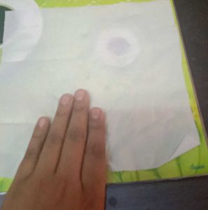 2 Box LANA Soft Facial Tissues