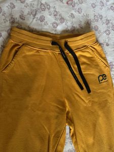 Peter England Yellow Joggers
