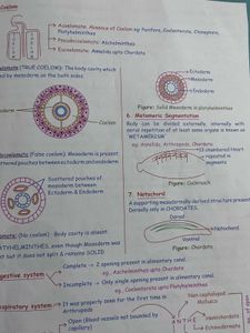 Zoology Med Easy Class Notes
