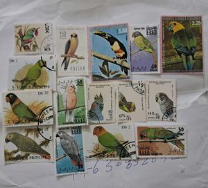 Collection of Bird theme stamps