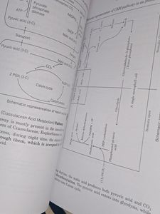 Neet Airhant Hand Book Of Biology