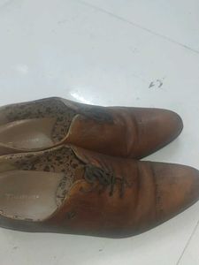 Classic Leather Oxford Shoes