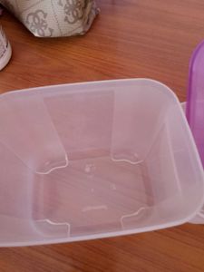 Free Shipping Tupperware Frizer Mate New