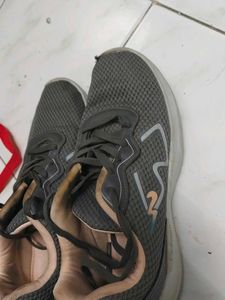 Campus Sport Shoes for Men