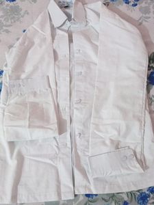 T- Shirt