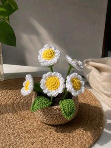 Crocheted Daisy Flower Pot
