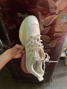 Stylish versace sportshoes  for Men