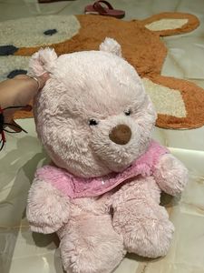 Winnie the Pooh plushie with blanket