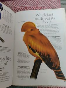 Encyclopedia Of The Natural World