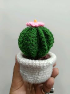 Handmade Crochet Cactus Decor