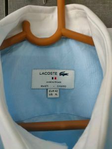 XL -NEW Lacoste CONTRAST COLLOR Shirt