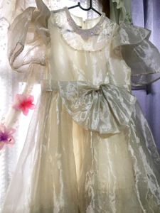 Elegant Dress