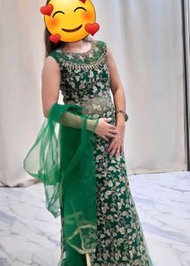 Embroidered Lehenga Choli ( Free Delivery)
