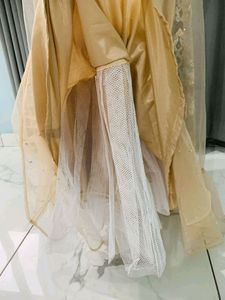 Party Wear Ethnic Gown