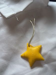 Super Mario Star Charm