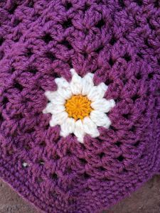 Crochet Daisy Crop Top