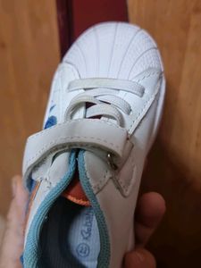 Cute White &amp; Blue Sneakers for Kids