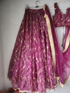 Organza Lehenga Choli