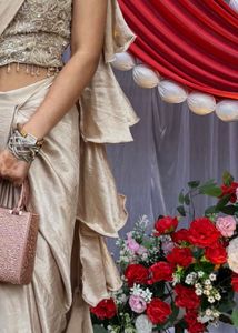 Elegant champagne gold Saree with Embellished Blou