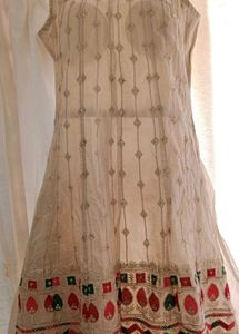 Elegant Ethnic Dress