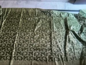 Elegant Pista Green &amp; Golden Zari  Saree