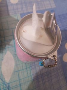two lipstick combo with wipes can and keychain