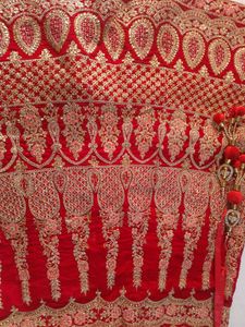 Diwali Offer 💥 Dupatta