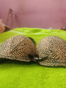 Imported Bra (Padded)