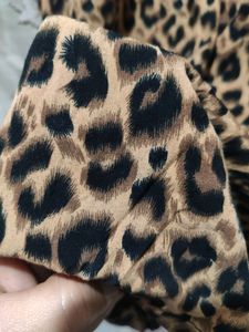 Animal Print Dress