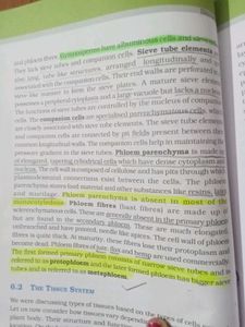 Biology Textbook for Class XI
