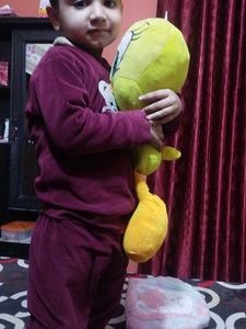 Tweety Bird Plush Toy