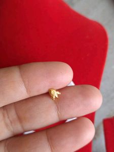 Elegant Gold Nose Pin