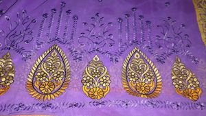 Beautiful saree Choli Set