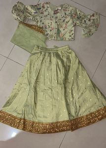 Embroidered Parrot lehenga chili for Girls