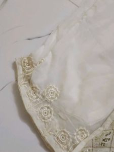 Pakistani Georgette sequence work  dress