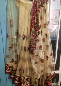 Embroidered Net Saree (ready to wear)