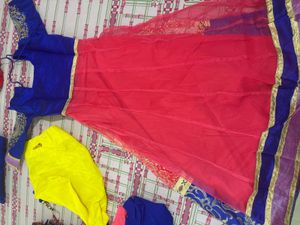 Beautiful Lehenga anarkali